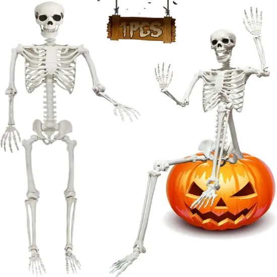 5.6ft Halloween Human Poseable Skull Skeleton {1}