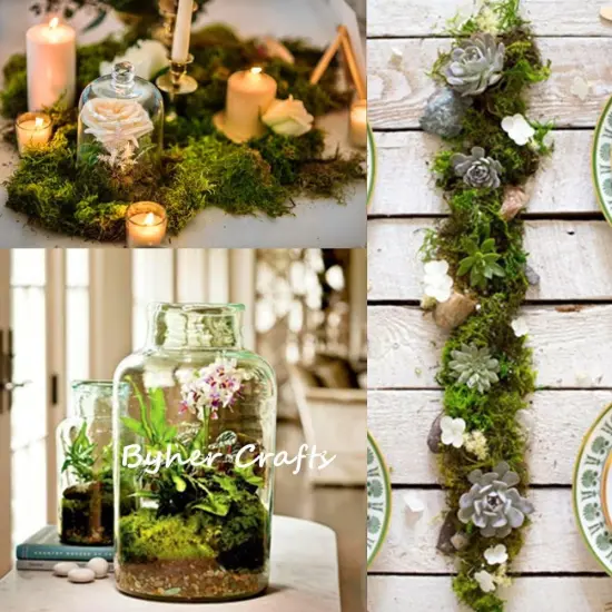 Preserved Forest Moss, Fresh Green (2OZ) {4}