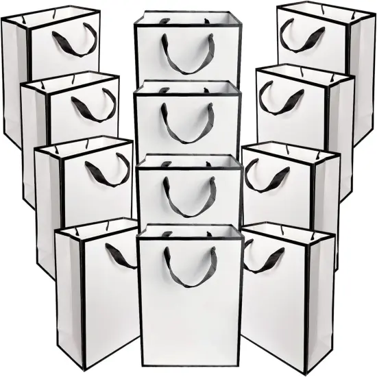 12 Pack Small Gift Bags with Tissue Paper {2}