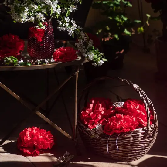 Red Tissue Paper Pom Poms - Assorted Sizes - Red Party Decorations for Birthdays, Weddings, Baby Showers and Special Occasions {4}