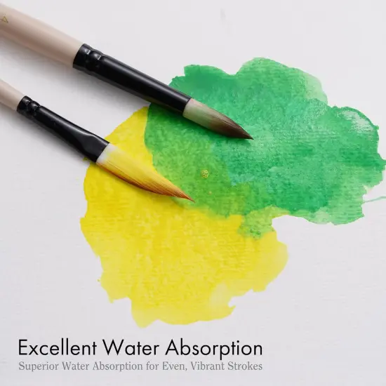 ARTIFY Watercolor Brush Set, 8 Pcs Professional Paint Brushes with Case for Beginners and Artists, Various Shapes, Optimized Hairs for Watercolor, Gouache, Ink, Tempera, and Fabric Painting {6}