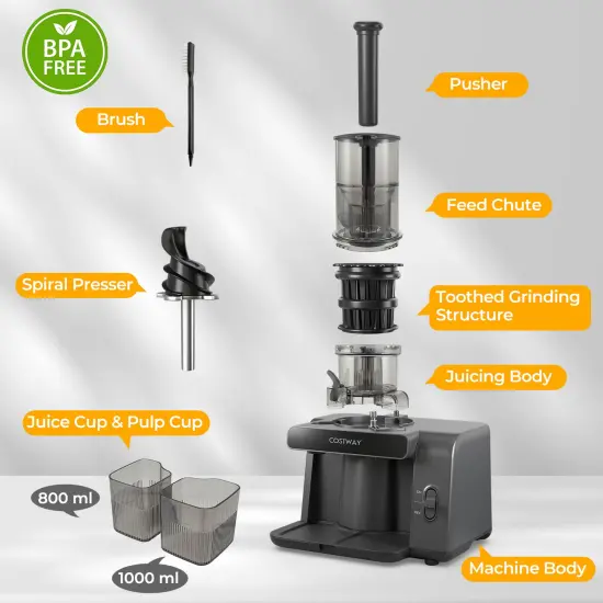 Cold Press Juicer with 5.3" Wide Feed Chute and Ultra-Fine Masticating Technology &ndash; Gray {6}