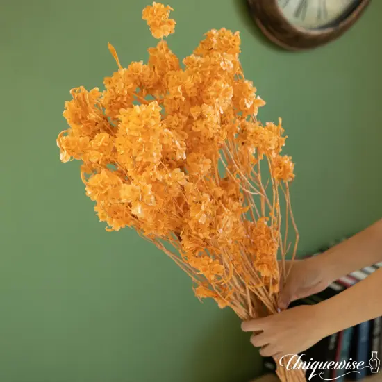 Uniquewise Preserved Real Floral Stems Chic Vase Fillers & Accents for Bouquets Centerpieces & Ornamental Displays Ideal for Home Office Boutique Cafe Resto Bar and Event Decor Lt champagne pansy {4}