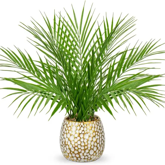 Fake Plants 15'' Faux Palm Plant in Gold-White Pot Realistic Artificial Plants Indoor for Home Farmhouse Centrepieces Wedding Decorations {1}