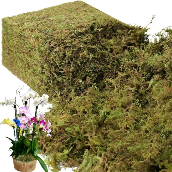 Large Capacity Fake Moss for Plants Indoor, Fresh Green Moss for Potted Plants Craft Moss for Home & Office Decor Fairy Garden Decoration {1}