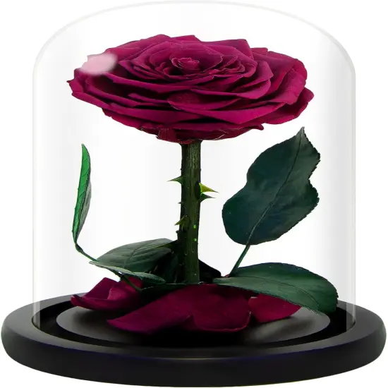 Handmade Preserved Roses in Glass Dome, Long Lasting Pink Roses Real, Flowers for Women {1}