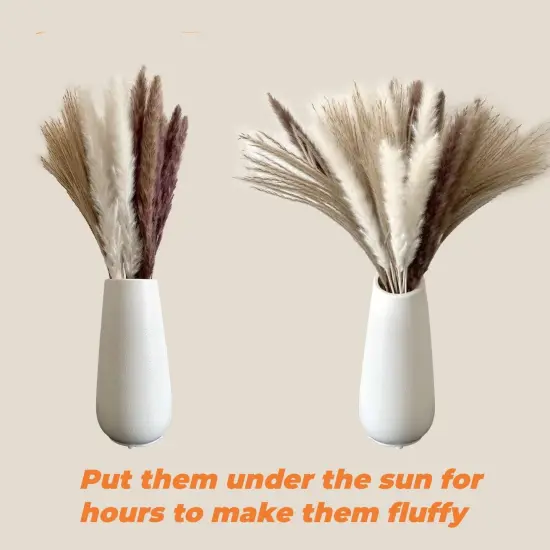 300 Pcs Dried Pampas Grass Bulk, Boho Dried Flowers Bouquet Pampas Grass Decor {3}