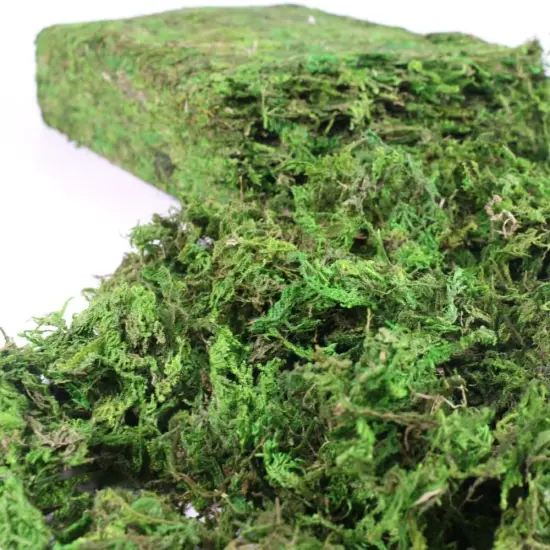 Artificial Moss, 17.6 OZ Green Moss for Decorating, Faux Moss for Crafts, Decorative Moss for Plants Indoor, Table Centerpieces, Fairy Garden Wedding Decor {1}
