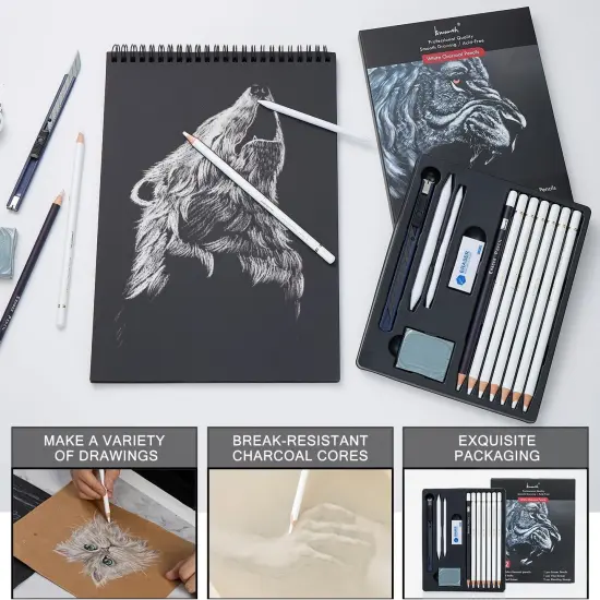 White Charcoal Pencils Set - 12 Piece White Colored Pencils for Drawing, Sketching, Shading, Blending, White Chalk Pencils for Kid, Beginners & Pro Artists {4}