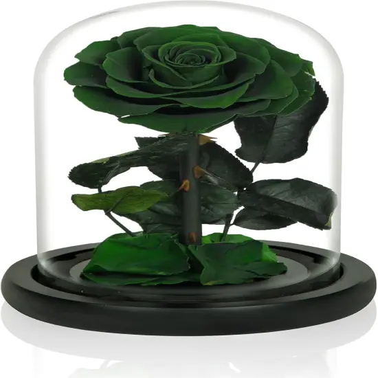 Handmade Preserved Roses in Glass Dome, Long lasting Green Roses Real, Flowers for Women {1}