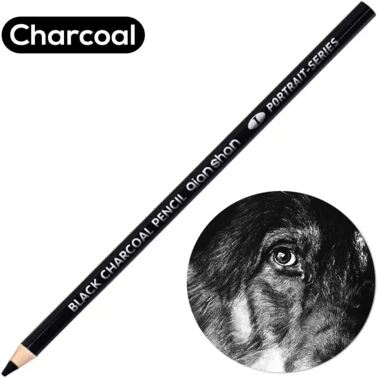 2 Pcs Black White Color Charcoal Pencils, Professional Hight Quality Sketch Highlight Charcoal Wooden Pencils for Artist Drawing, Sketching, Blending, 2 Colors of 1 Black, 1White {3}