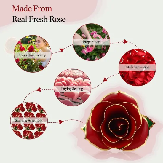 Gold Dipped Rose 24k Red Gold Plated Rose - Everlasting Long Stem Real Rose Exquisite Holder, Romantic Gift for Valentine's and Mother's Day, Gfts for Her Anniversary {2}