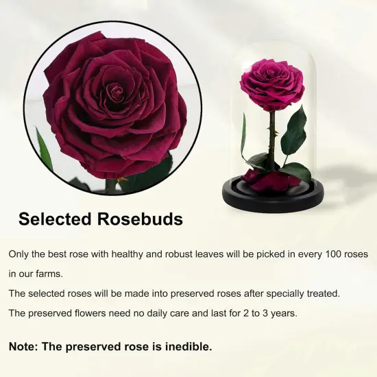 Handmade Preserved Roses in Glass Dome, Long Lasting Pink Roses Real, Flowers for Women {3}