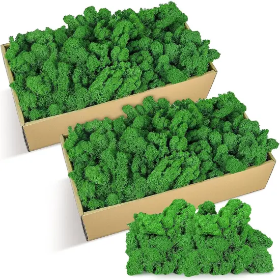 Moss Preserved 21.2 oz Green Preserved Reindeer Moss Bulk Artificial Decorative DIY Kit for Craft Wall Decor Fairy Gardens Terrariums Art Project Table Floral Decor {1}