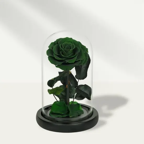 Handmade Preserved Roses in Glass Dome, Long lasting Green Roses Real, Flowers for Women {3}