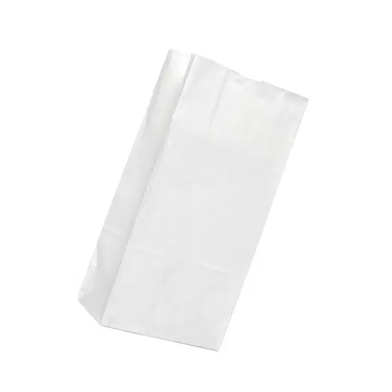 White Paper Retail Bags 8 1/4'' x 5 1/4'' x 13 3/8'' {3}