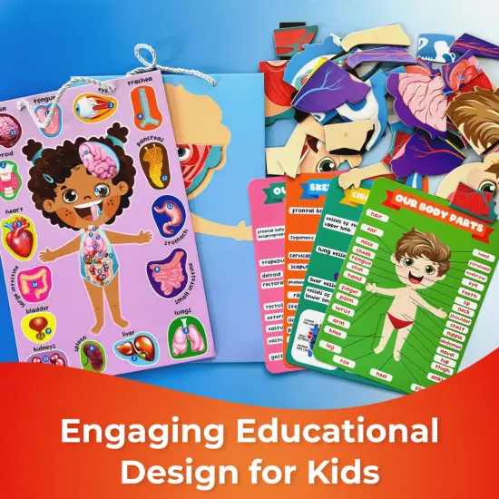 Magnetic Montessori Puzzles for Kids | Anatomy {5}