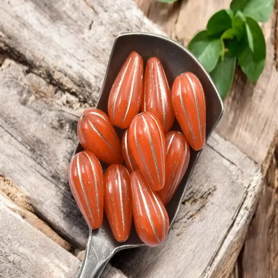 *10* 13x8mm Copper Washed Orange Opaline Melon Drop Beads {3}