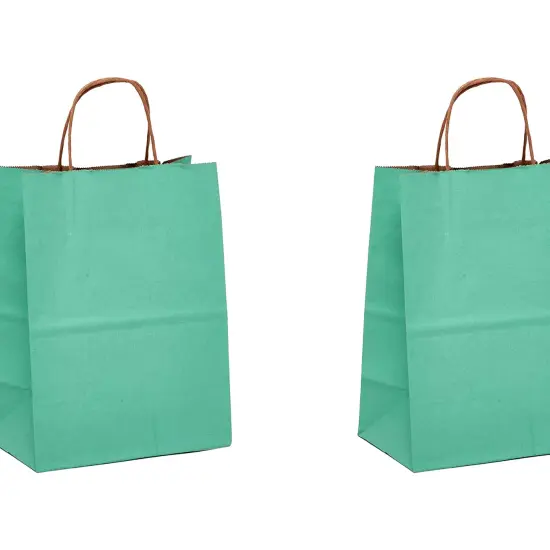 Versatile Kraft Paper Shopping Bag 8" x 5" x 10.25" {4}