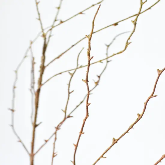 40" Faux Light Brown Twig Branch Stem {4}