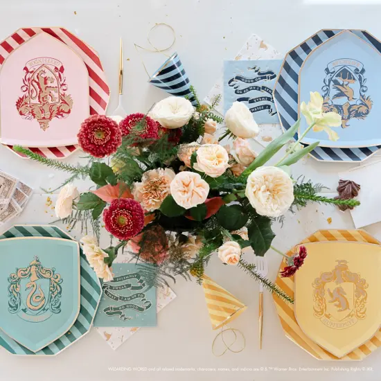 HARRY POTTER X BONJOUR F&Ecirc;TE HOUSE PRIDE LARGE PLATES {4}