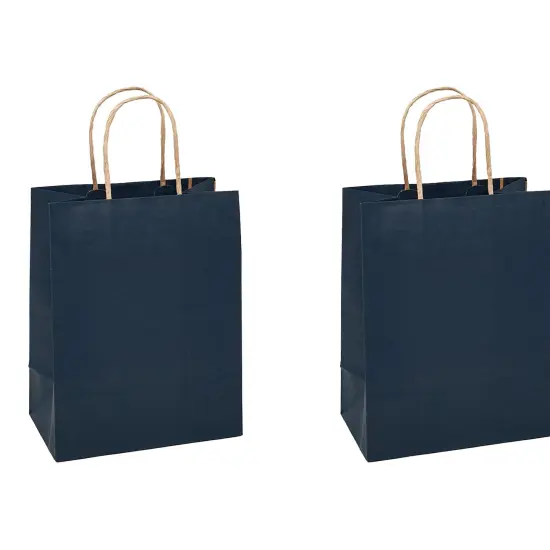 All-Purpose Kraft Tinted Shopping Bag 8" x 5" x 10.25" {4}