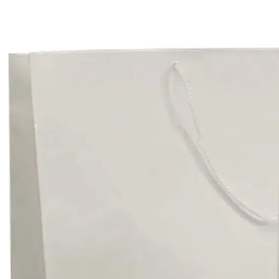 Glossy Euro Totes 16'' x 6'' x 12'' for Small Packaging Needs White {7}