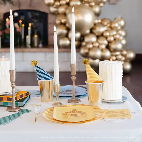 HARRY POTTER X BONJOUR F&Ecirc;TE HOUSE PRIDE PARTY HATS {5}