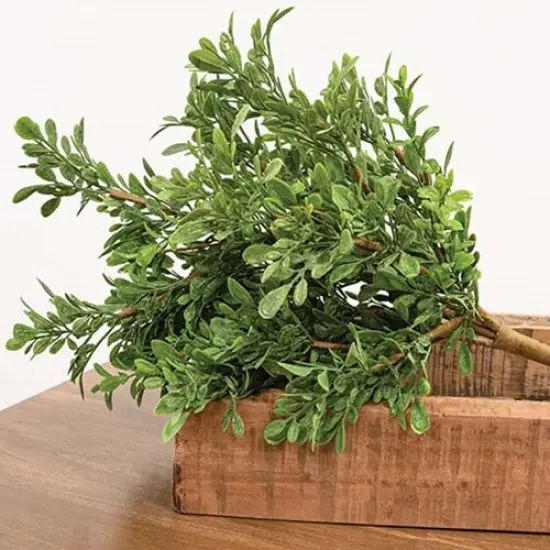 19" High Heritage Dark Green Boxwood Bush with Flexible Brown Stem {3}