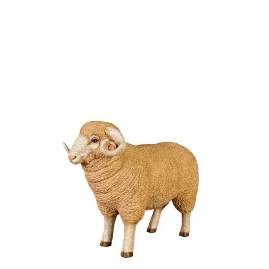 Baby Merino Ram Life Size Statue {1}