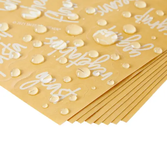 Talented Kitchen 375 Clear Pantry Labels for Containers - Preprinted White Script Kitchen Stickers for Organizing Food Containers, Jars, Storage Canisters, and Bins (Water Resistant) {7}