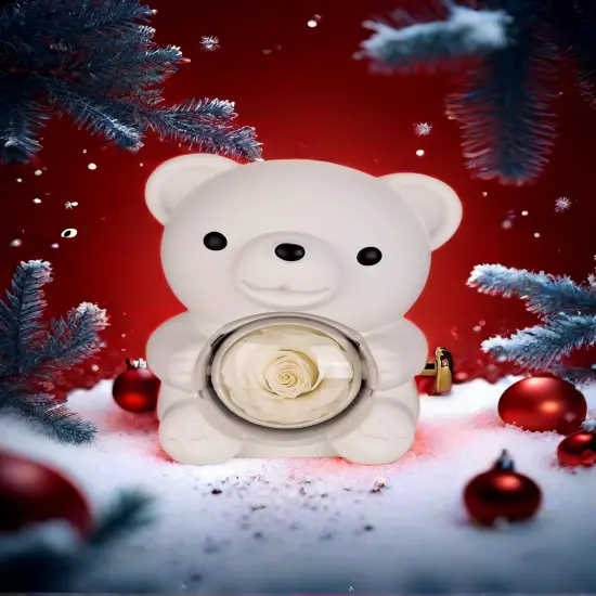 Preserved White Real Rose & White Bear Box {3}
