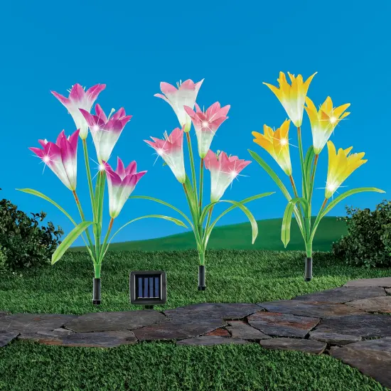Collections Etc Solar Powered Richly-Colored Lily Stakes - Set of 3 {1}