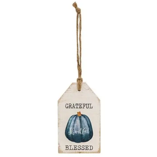 Rustic Autumn Wooden Tags with Pumpkin Graphics and Gratitude Quotes Jute Rope Hanging Tags 2 Asstd. {2}