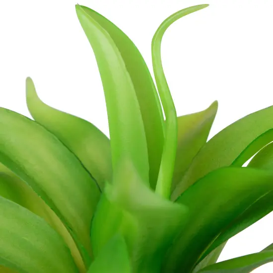 Northlight Artificial Mini Foxtail Agave Plant in a White Pot - 8" Green {7}