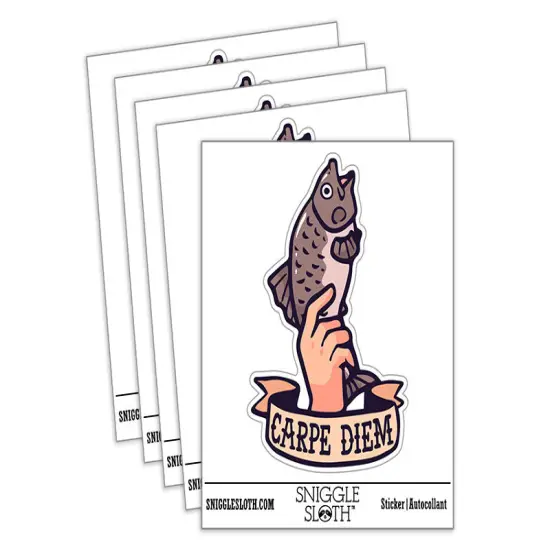 Water Bottle Sticker Set Carpe Diem Funny Hand Holding Fish Carp Cute Waterproof Vinyl Stickers Pack Decal, Skateboard, Laptop, Car, Window, Bumper - 5 Pack {2}