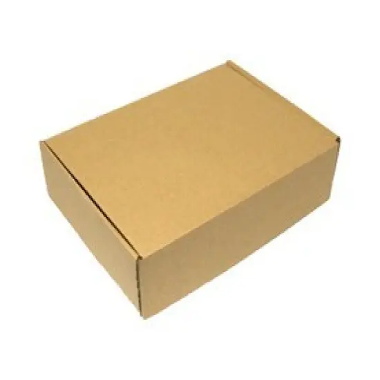 Pack/6: Kraft Decorative Mailer - 12 x 9 x 3" {1}