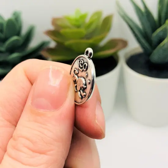 Silver Leo Zodiac/Astrology Coin Charms, 17x20mm {4}