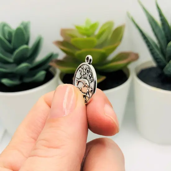 Silver Pisces Zodiac/Astrology Coin Charms, 17x20mm {4}