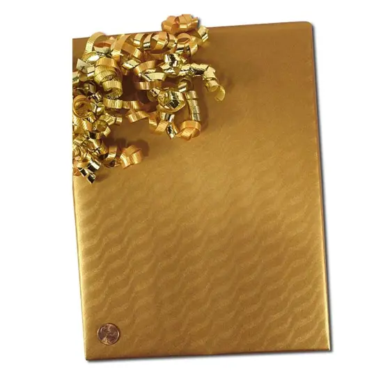 Sand Dunes Embossed Metallic Wrapping Paper 24" x 833" Jumbo Roll {2}