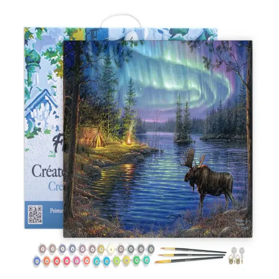 Figured'Art Paint by Numbers for Adults with Frame Moose and aurora borealis 16"x20" - Craft Art Painting DIY Kit Canvas Already Stretched on a Wooden Frame {1}