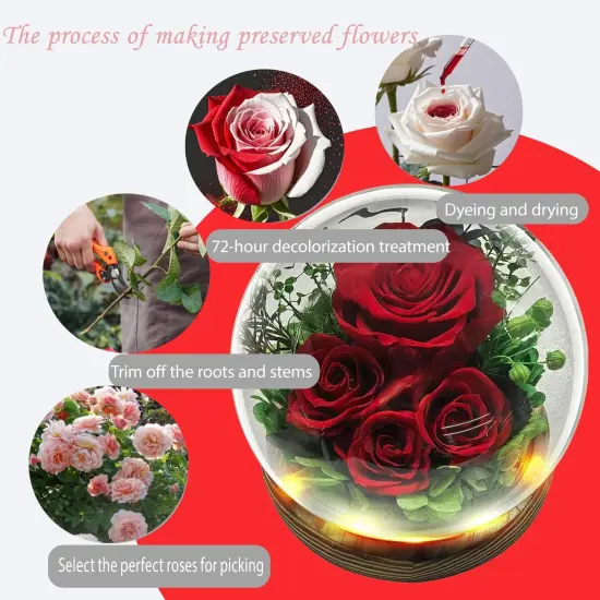 Flowers for Delivery Preserved Rose Gifts for Her {4}