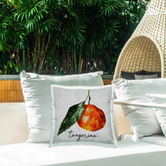 Vintage Tangerine Fruit Outdoor Printed Pillow Design by Regina Moore, 18 x 7 x 18 {2}