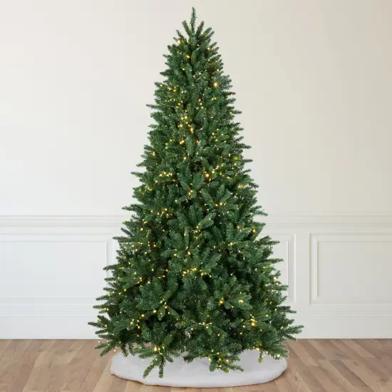 Northlight Real Touch&trade; Elite Pre-Lit Calgary Pine IPT Artificial Christmas Tree - 12' Dual Color LED Green {1}