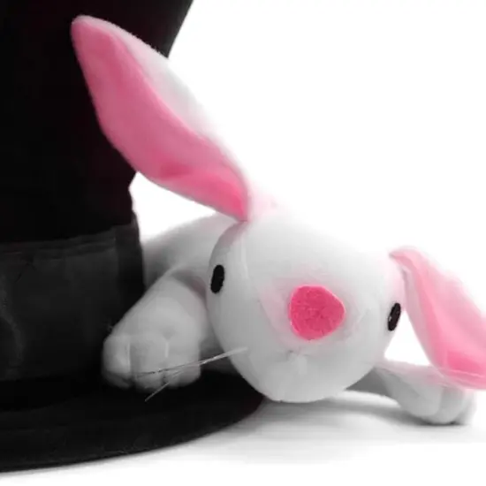 Magician with Rabbit Child Costume Hat {3}