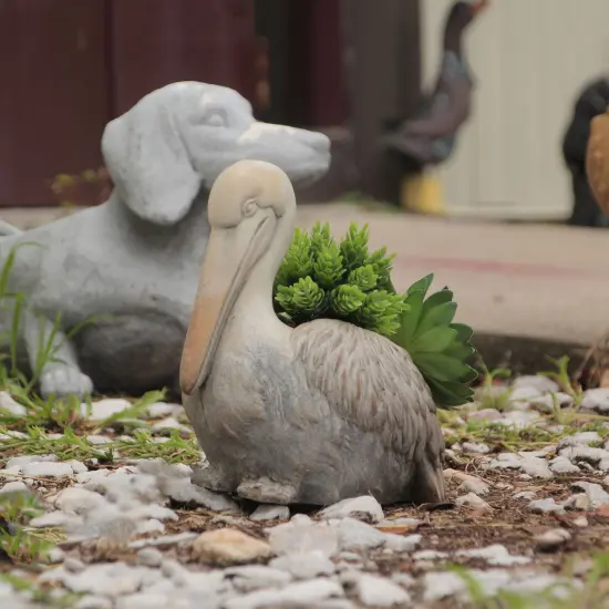 Whimsical Pelican Planter, Gray Finish, Coastal Decor for Home & Garden {7}