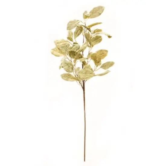 33" Light Green Halcyon Leaf Spray with Brown-Wrapped Stem {1}