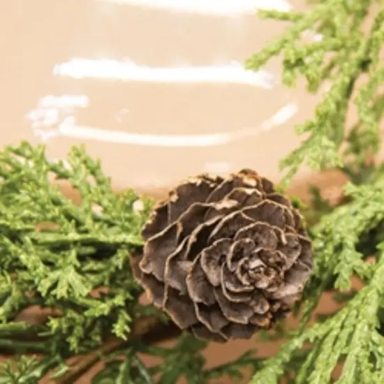Western Cedar & Pinecone Candle Ring 6.5" {2}