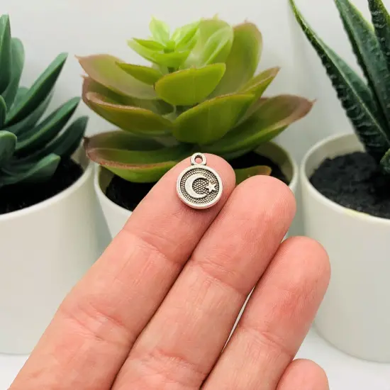 Silver Moon and Star Turkish Flag Charms, 12x10mm {2}