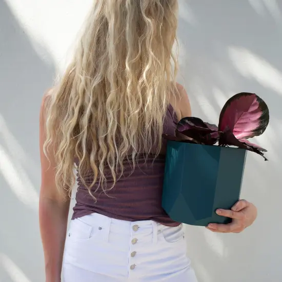 Tuxton Hexagon 10" Charleston Planter Made of Durable Resin, Indoor/Outdoor Use {7}